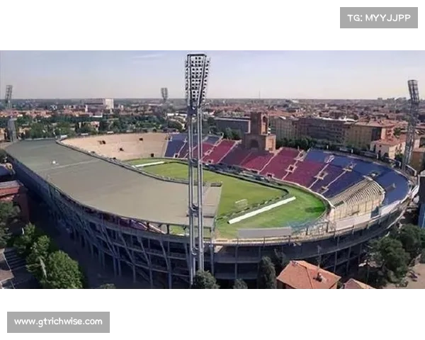 为什么意甲难以拥有自己的球场 深层原因剖析及未来发展展望